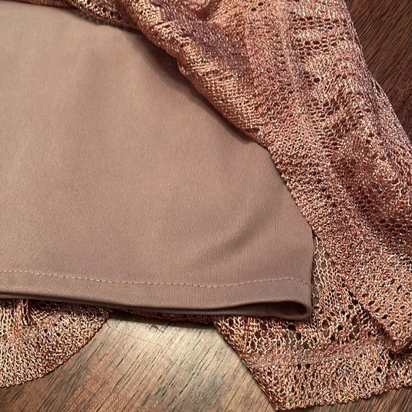 Dressbarn lace overlay dress - Picture 9 of 13